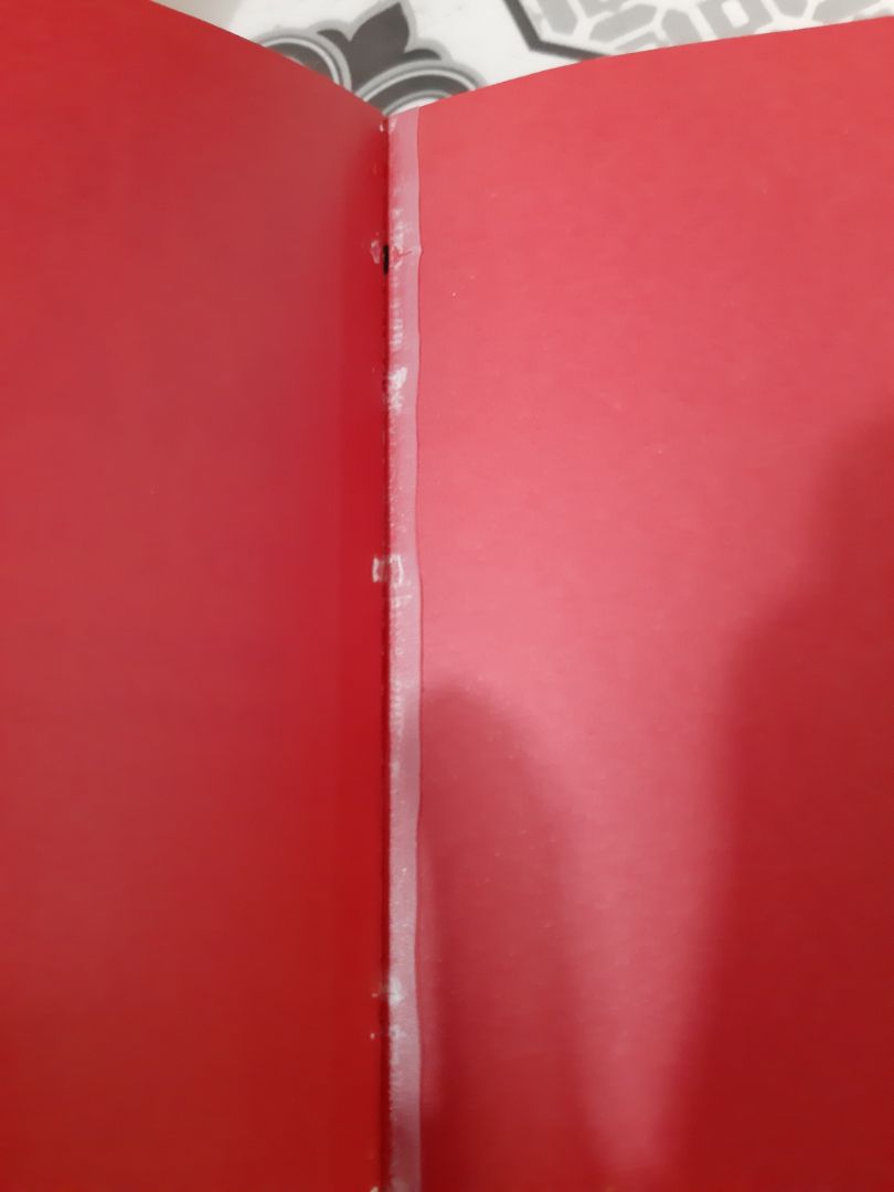 bìa hở keo , sách thì dạng ẩm hay sao mà nhìu chỗ bị nhíu lại . do mình giữ sách rất kĩ nên hơi khó chịu tí . nhìn chung cũng bình thường .