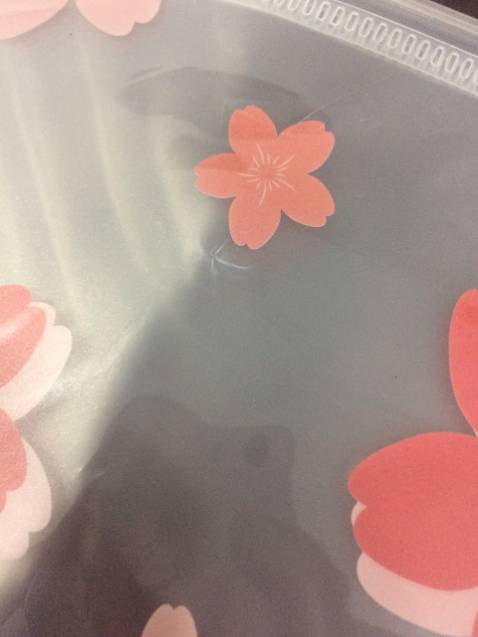 cái bìa sơ mi khá to cỡ A4 nhưng lại gấp đôi lại và nó bị hư luôn ạ, nó bị gãy in một lằn trắng luôn ạ, rất bực mình