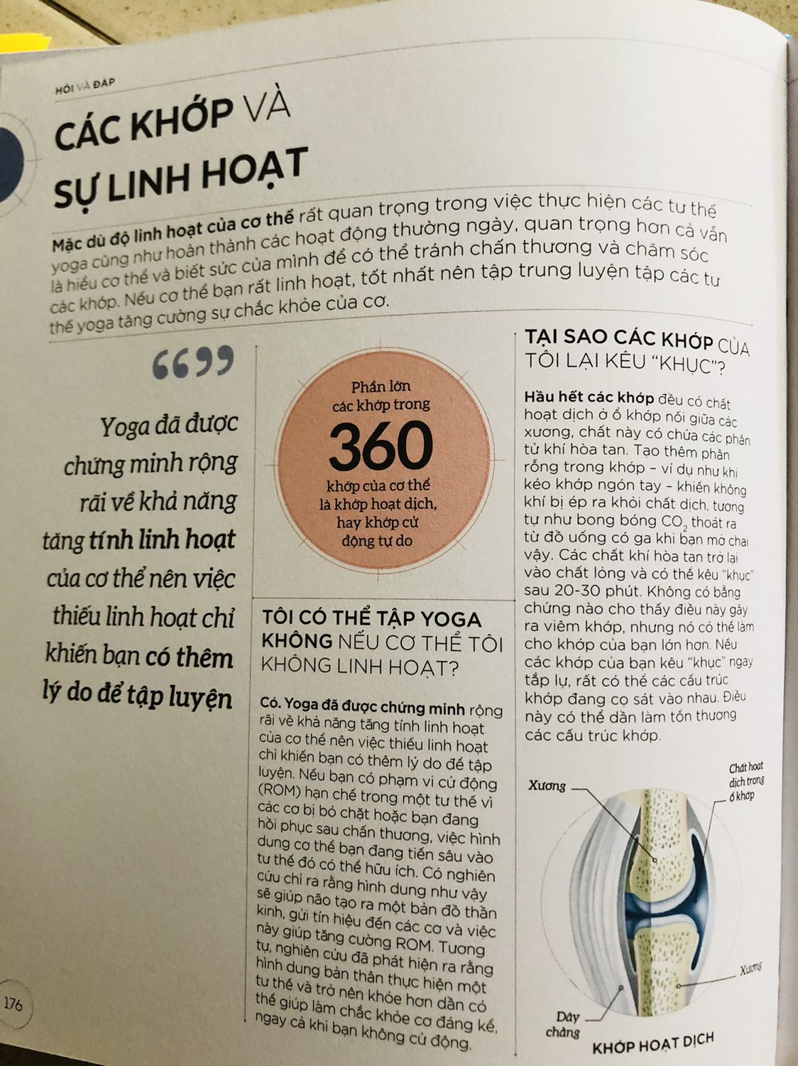 - Sách mô tả chi tiết các tư thế yoga. Mỗi tư thế sẽ có cơ nào căng, cơ nào siết. Tác động lên xương lên, cơ của mỗi thư thế như thế nào.  
- Ngoài ra còn có những trả lời thắc mắc khi chúng ta thực hành yoga. Những cảnh báo chúng ta cần lưu ý khi luyện tập.