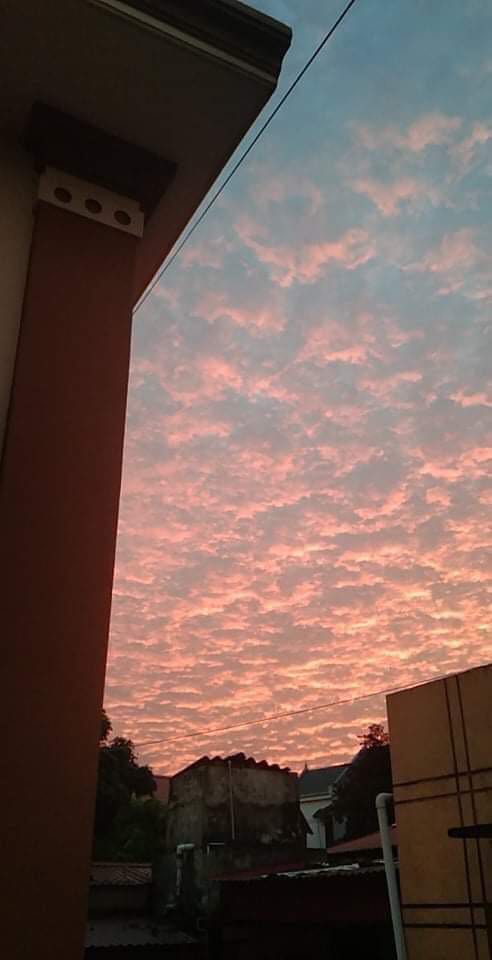 giao hàng nhanh chất lượng, sách đẹp( hình ảnh ko liên quan lắm🙃)