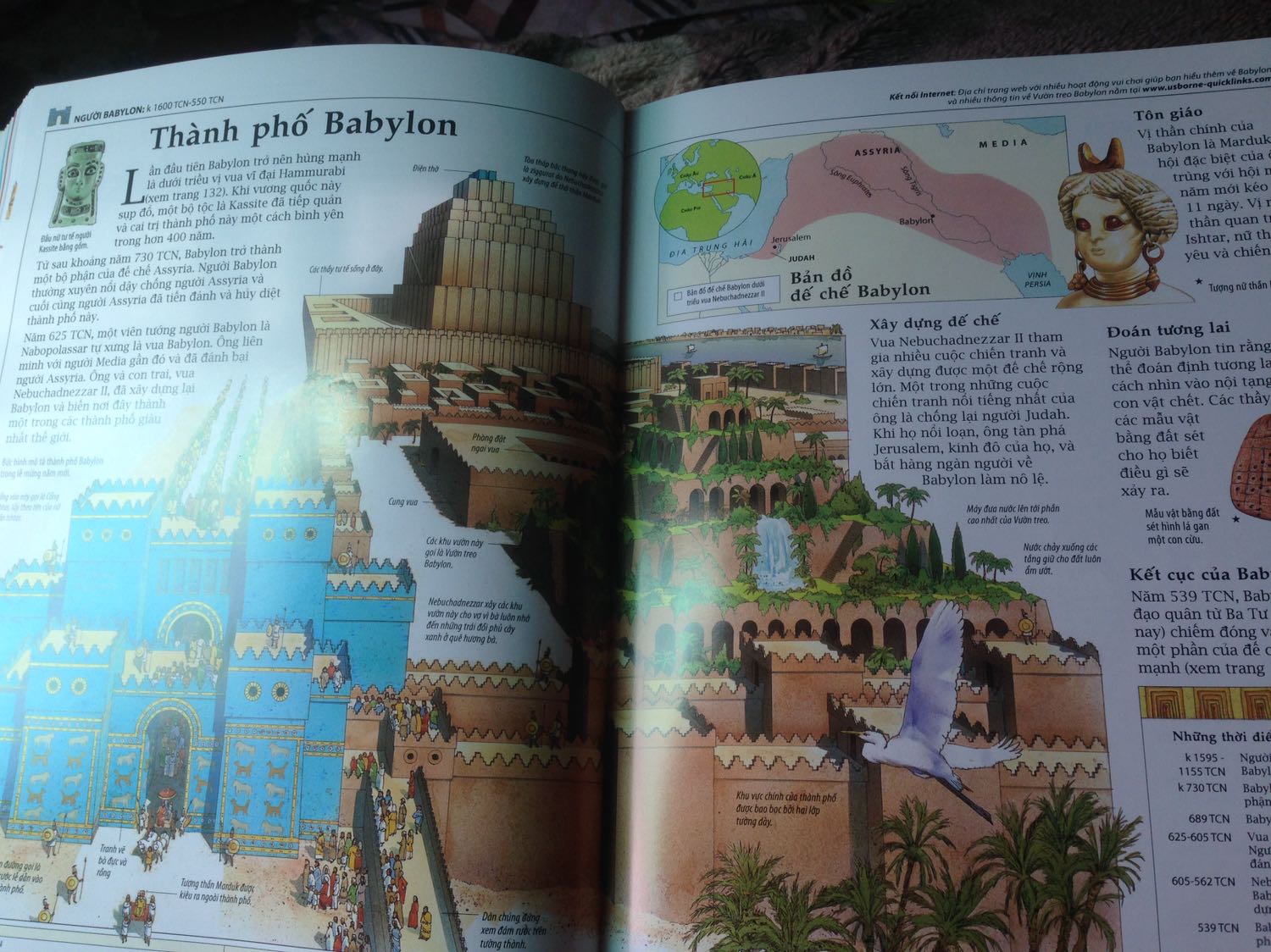 Chất lượng sách tốt, Chỉ theo Ý kiến chủ quan của mình thì mình thấy hình ảnh trong sách hầu hết là vẽ nên nhìn không được trực quan cho lắm. Nhưng vẫn tặng 5?