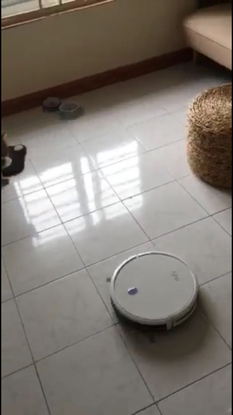 Máy nhỏ gọn và hỗ trợ việc dọn dẹp nhà cửa tốt, mình mới dùng chưa biết có bền lâu không nhưng khá hài lòng. Mới mua về cho chạy thử làm con mèo sợ quá trèo tót lên tận cửa sổ. Máy hút được lông mèo và cát vệ sinh rất tốt.