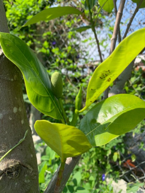 Đồng hồ tốt,chắc chắn,chạy chính xác Đồng hồ tốt,chắc chắn,chạy chính xác