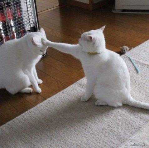 Đường may chắc chắn, cầm nhẹ tay. Nhưng mà các ngăn đựng có hơi nhỏ so với các ví trước đây mình từng sử dụng, nhất là ngăn để tiền ạ. Cố làm to to lên tý là được. 5* ủng hộ cho sốp