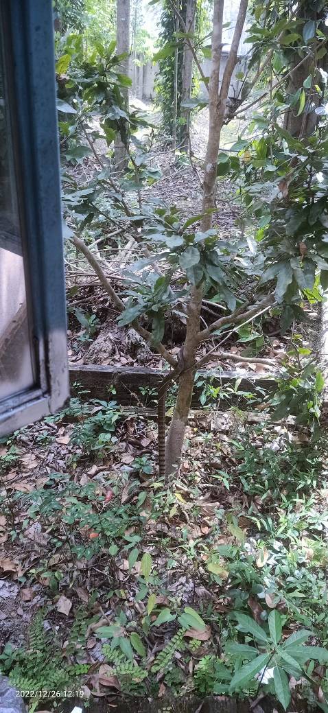 Shop giao hang nhận lam ma chat lượng thi tuyệt voi luon se ung ho shop tiep