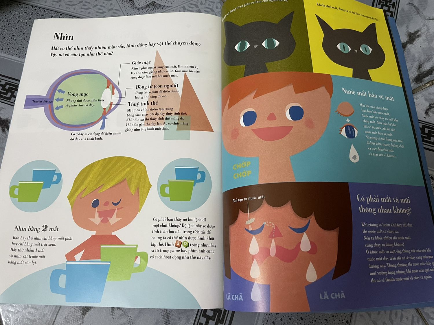 Nhiều kiến thức
Phù hợp với các bé có thể tự đọc tự tìm hiểu