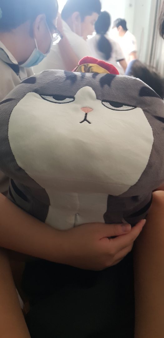 đẹp nhưng ko to như trong hình