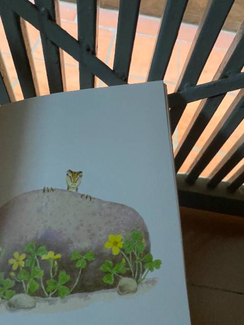 nhận được thư tri ân, hình dán và cả phiếu tích điểm từ shop, đóng hàng cẩn thận và chu đáo nhận được thư tri ân, hình dán và cả phiếu tích điểm từ shop, đóng hàng cẩn thận và chu đáo