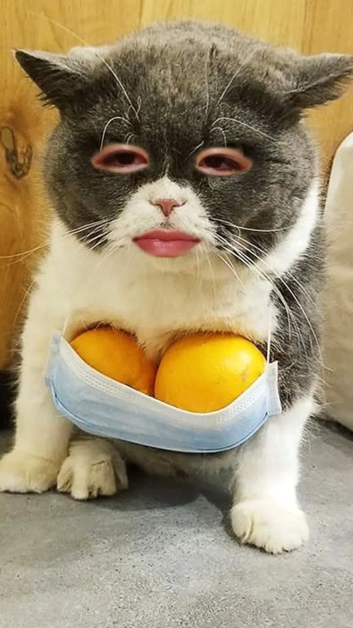 sạc vô pin ạ còn chất lượng thế nào về sau mình mới biết sạc vô pin ạ còn chất lượng thế nào về sau mình mới biết