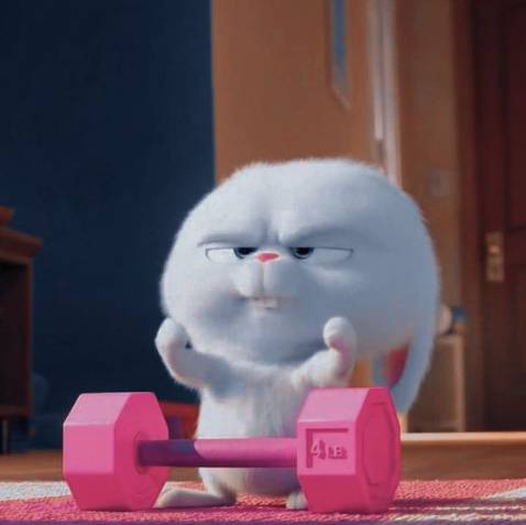 Sản phẩm chất lượng, đúng như hình mẫu