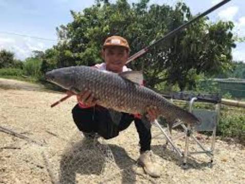 Chất lượng lắm nha, đóng hộp cẩn thận gọn gàng