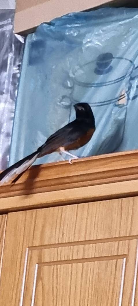 Sản phẩm tốt. Giao hàng nhanh Sản phẩm tốt. Giao hàng nhanh