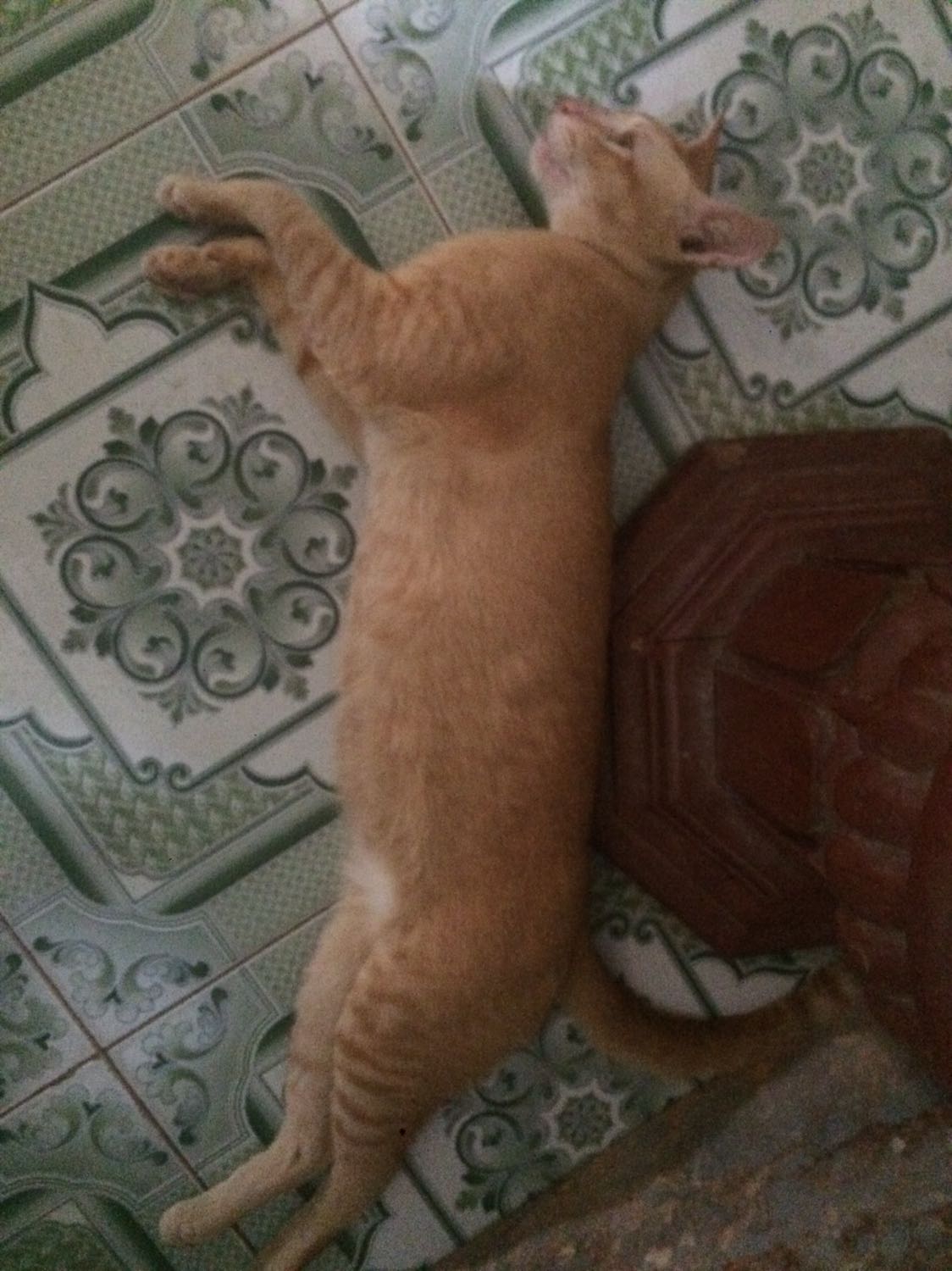 Sản phẩm rất xinh đẹp tuyệt vời, tôi không thể trông đợi gì hơn. Cảm ơn nhà cung cấp, nhà sản xuất, cảm ơn người bán hàng, cảm ơn sàn thương mại điện tử, cảm ơn người vận chuyển để tôi có cơ hội dùng sản phẩm tốt như thế này Sản phẩm rất xinh đẹp tuyệt vời, tôi không thể trông đợi gì hơn. Cảm ơn nhà cung cấp, nhà sản xuất, cảm ơn người bán hàng, cảm ơn sàn thương mại điện tử, cảm ơn người vận chuyển để tôi có cơ hội dùng sản phẩm tốt như thế này