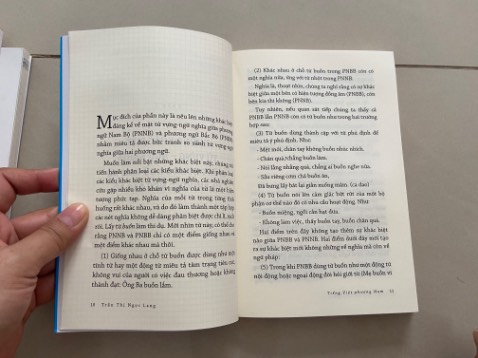 Sách rất đáng để đọc & tham khảo cho bạn nào làm nghề viết, muốn hiểu sâu về tiếng việt phương nam.