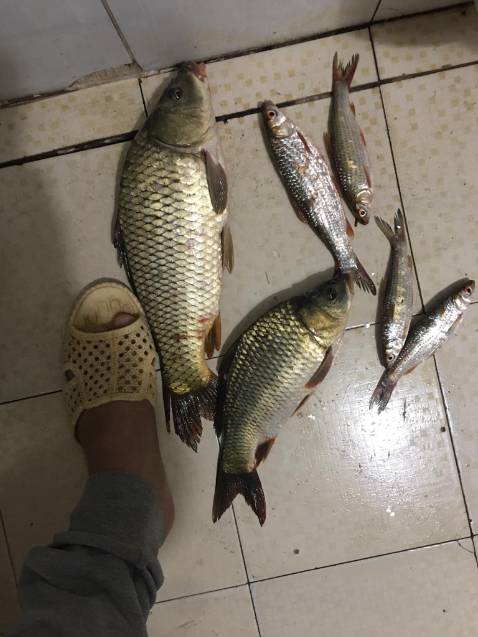 Hạng khá là tốt