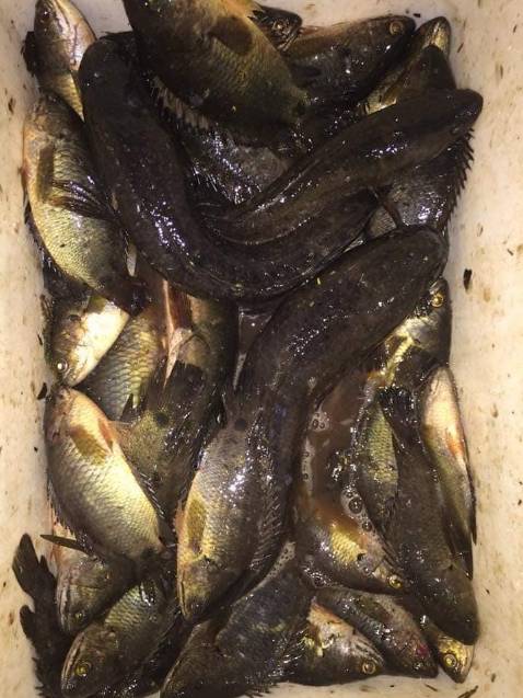 Sản  phẩm đúng mô tả, giao hàng nhanh, sẽ ủng hộ tiếp