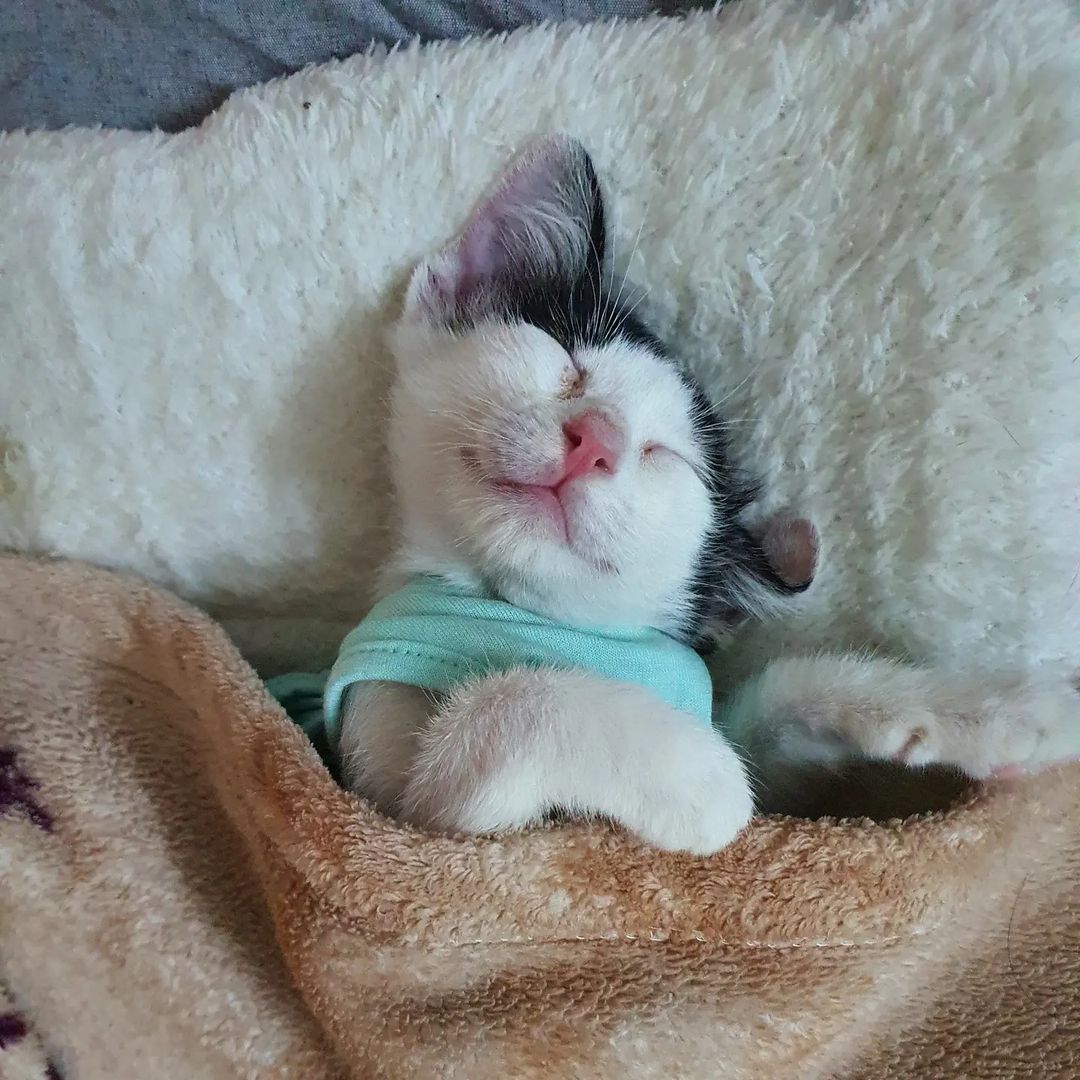 Mình mua máy này dùng để mát xa vai cổ và vùng thắt lưng, dân văn phòng ngồi nhiều nên hay bị đau mỏi, máy nhỏ gọn và chạy pin nên có thể cho vào túi xách mang đi, 5 chế độ mát xa, máy dùng pin, chất lượng với mình như vậy là ok