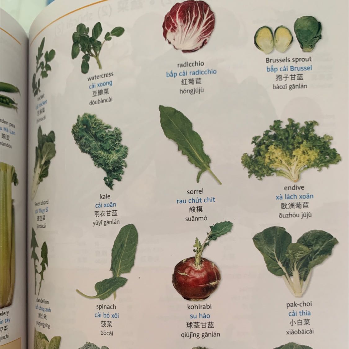 Sách mới giấy bóng đẹp, nội dung hay. 
Hình ảnh màu sắc bắt mắt. Tam ngữ Anh Việt Trung thú vị.
Bọc bookcare chưa chuyên nghiệp lắm vì rách mép 🥹🥹