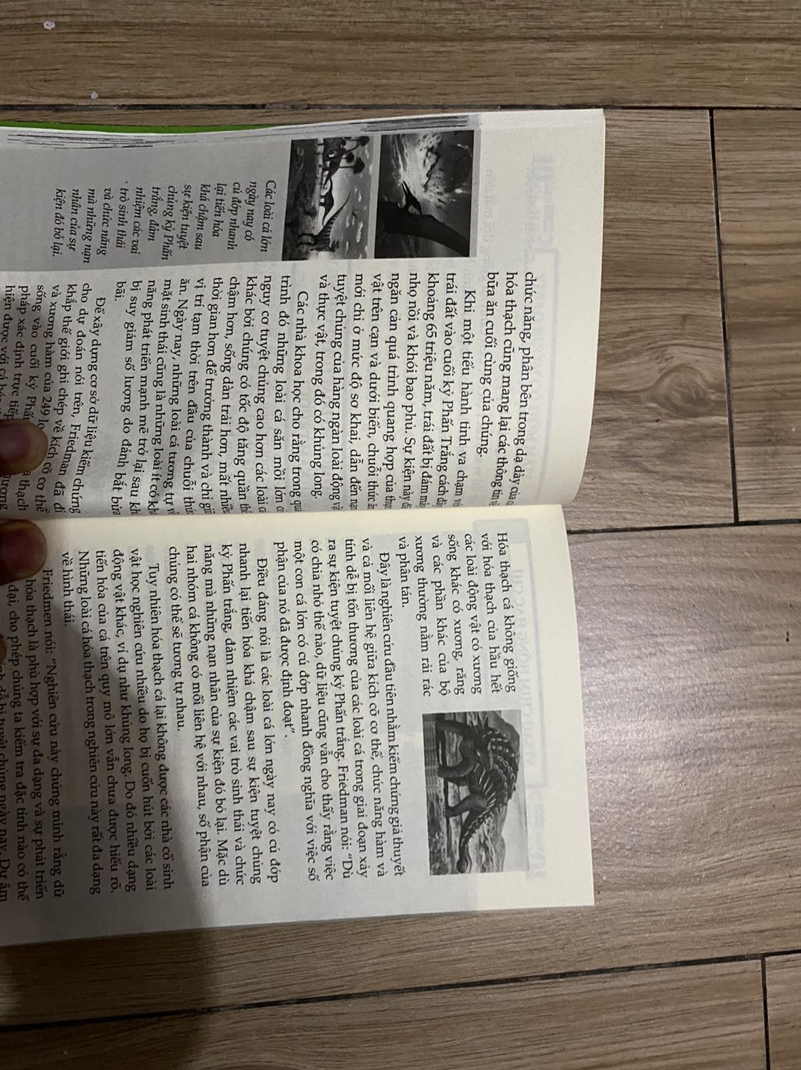 Đề nghị tiki nên có chính sách kiểm duyệt nội dung sản phẩm, shop nên có mô tả chi tiết sản phẩm để người tránh nhần lẫn. Ngoài thì đúng tiêu chí nhưng trong là gì? 
Sách liên quan về giáo dục, phát triển mà đứa trẻ bảo con chim nướng, khỏng long bị nướng 🤣🤣🤣