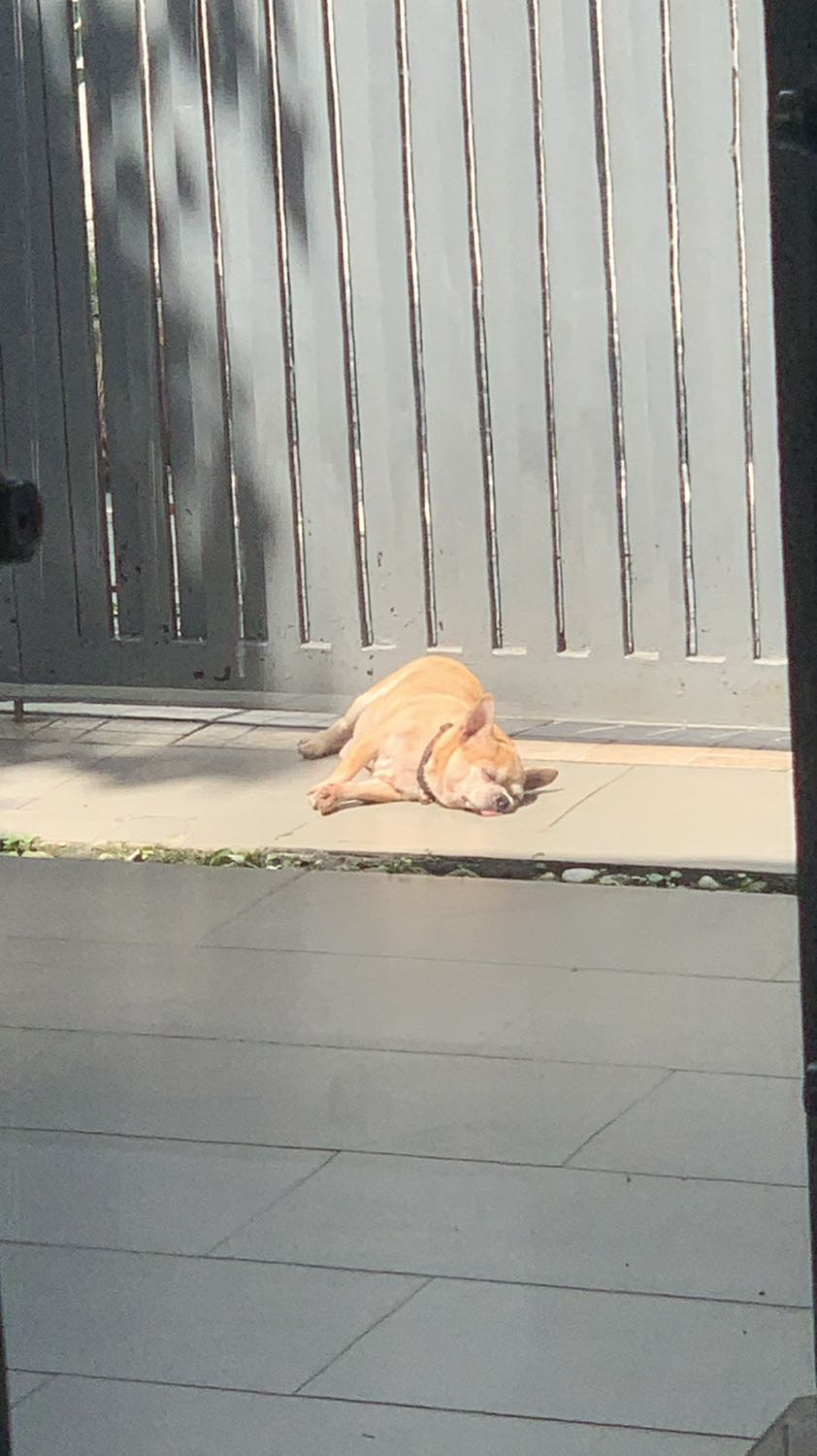 Hạn còn khá ít. Mua tháng 2/ 2021 và hạn 6/ 2021. Phải rủ cả nhà ăn lấy ăn để... chắc đẩy hàng cũ đi hết để về mẫu mới.