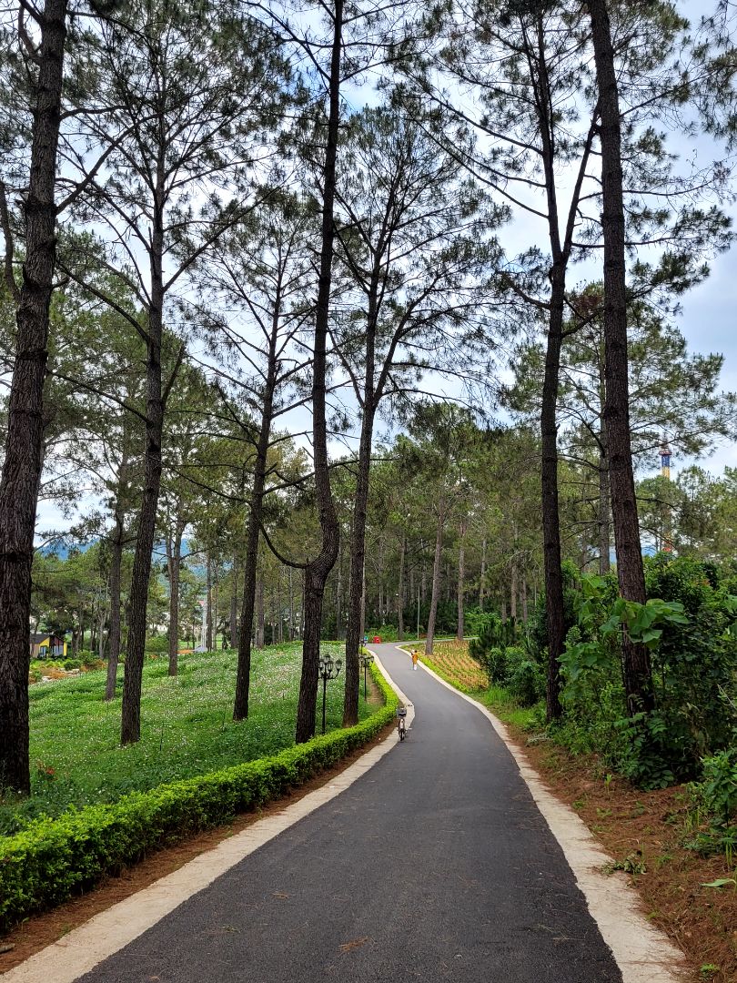 Tiki giao đúng hạn. Chuột nhạy và đẹp ạ.