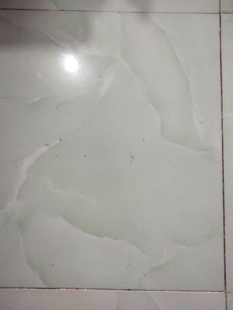 Bị méo mó do vận chuyển và bán hàng Đã hoàn trả.