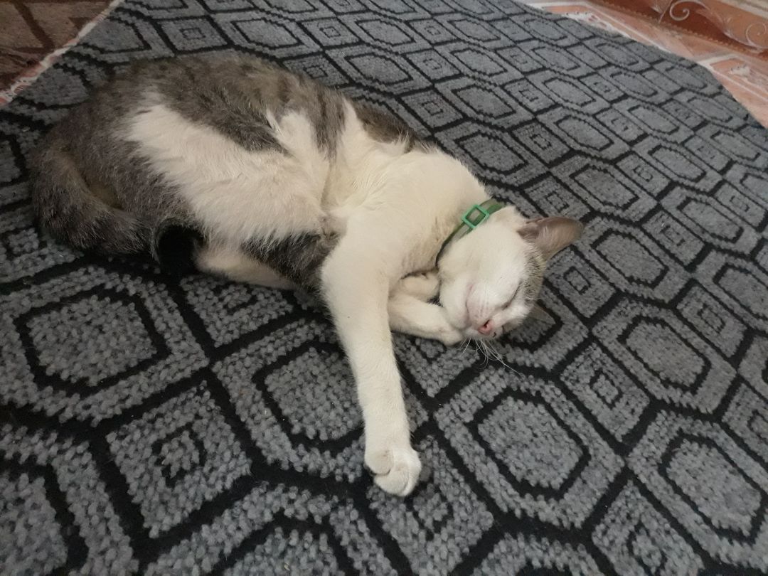 đóng gói cẩn thận, mình rất hài lòng về sản phẩm này. sách in màu đẹp,rõ nét, công thức dễ hiểu, nói chung là rất okela