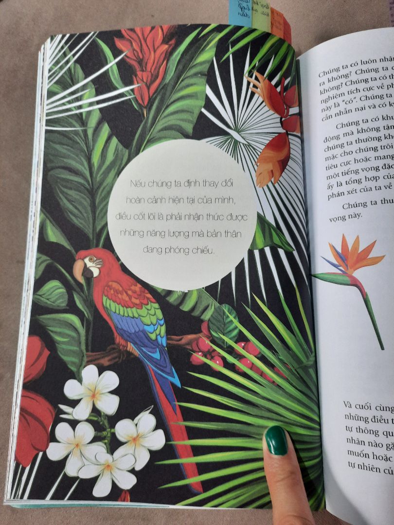 sách rất hay. 
- đảo ngược toàn bộ tư duy về cuộc sống, mk cảm thấy rũ bỏ đc hoàn toàn những tiêu cực, áp lực, lo âu, sợ hãi trong cuộc sống và nhìn thấy toàn là hạnh phúc niềm vui và phấn phởi. 
- mk cx tìm đc câu trả lời cho "trực giác, linh cảm, cảm hứng" từ đâu mà ra. 
- và mk cx học đc cách nhìn nhận xung quanh bằng tình yêu chứ k còn thấy những khuyết điểm khiến bản thân cảm thấy bức bối nữa. 
- mk học đc cách trở nên bình tĩnh, trầm ổn, tự tin hơn về bản thân. 
- mk có thể tách ra khỏi dòng chảy của cuộc sống, để k bị những tiêu cực lôi kéo khiến mk mệt mỏi nữa. 
10 điểm