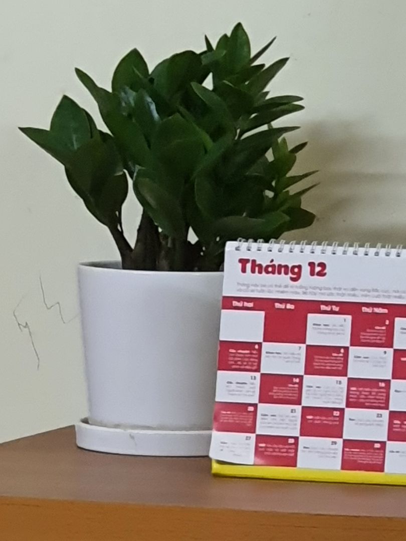 Giao nhanh, túi đẹp, da mềm lắm ạ. Cảm ơn Shop nhá!