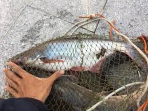 Chất lượng lắm nha, đóng hộp cẩn thận gọn gàng