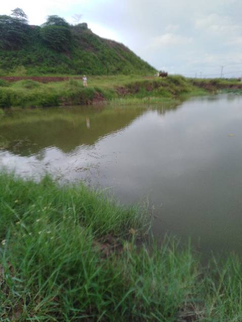 Đóng gói khá chắc chắn. Giao hàng nhanh. Chưa sd nên chưa biết chất lg. Hi vọng tốt. bền