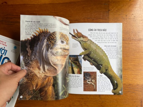 Sách in đẹp, nội dung quá ổn, thích hợp với bạn nào dạy theo pp Montessori & để con đọc khám phá thêm về thế giới