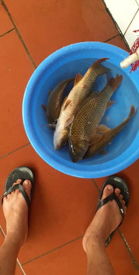 sản phẩm đẹp và bền nha mọi người đáng mua rất hữu ita tôi cho shop 5 sao