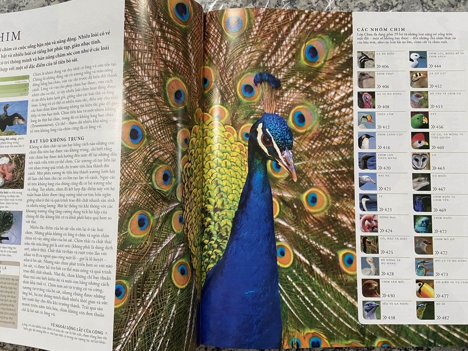 Sách đóng gói kĩ, có lớp bìa bên ngoài nên sách bên trong không tì vết. 
Mình thấy bố cục sách rõ ràng, dễ hiểu, nội dung chi tiết, đặc biệt giấy dày và màu sắc cực đẹp, rất đáng tiền.