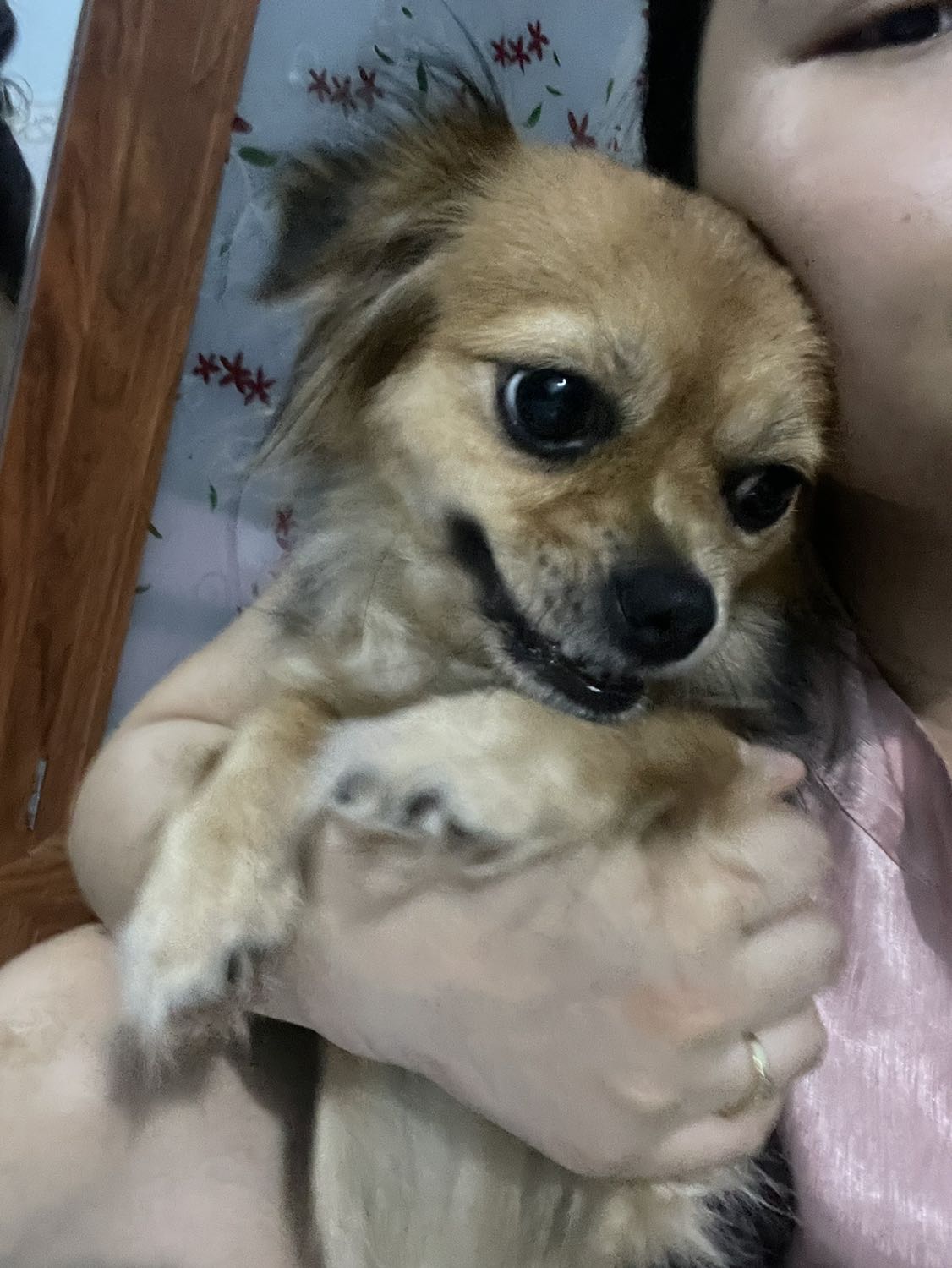 Thông điệp Muôn Kiếp Nhân Sinh đã mở cánh cửa dẫn người đọc đến thế giới tinh thần thanh khiết, thênh thang, nơi không có sự phân biệt giữa thế giới tâm lunh