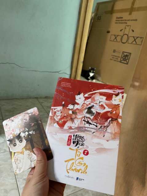 Hình đẹp. Nhân vật là mèo đáng yêu. Xinh xỉu