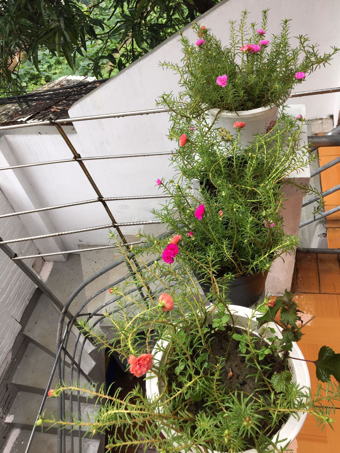 đóng gói cẩn thận