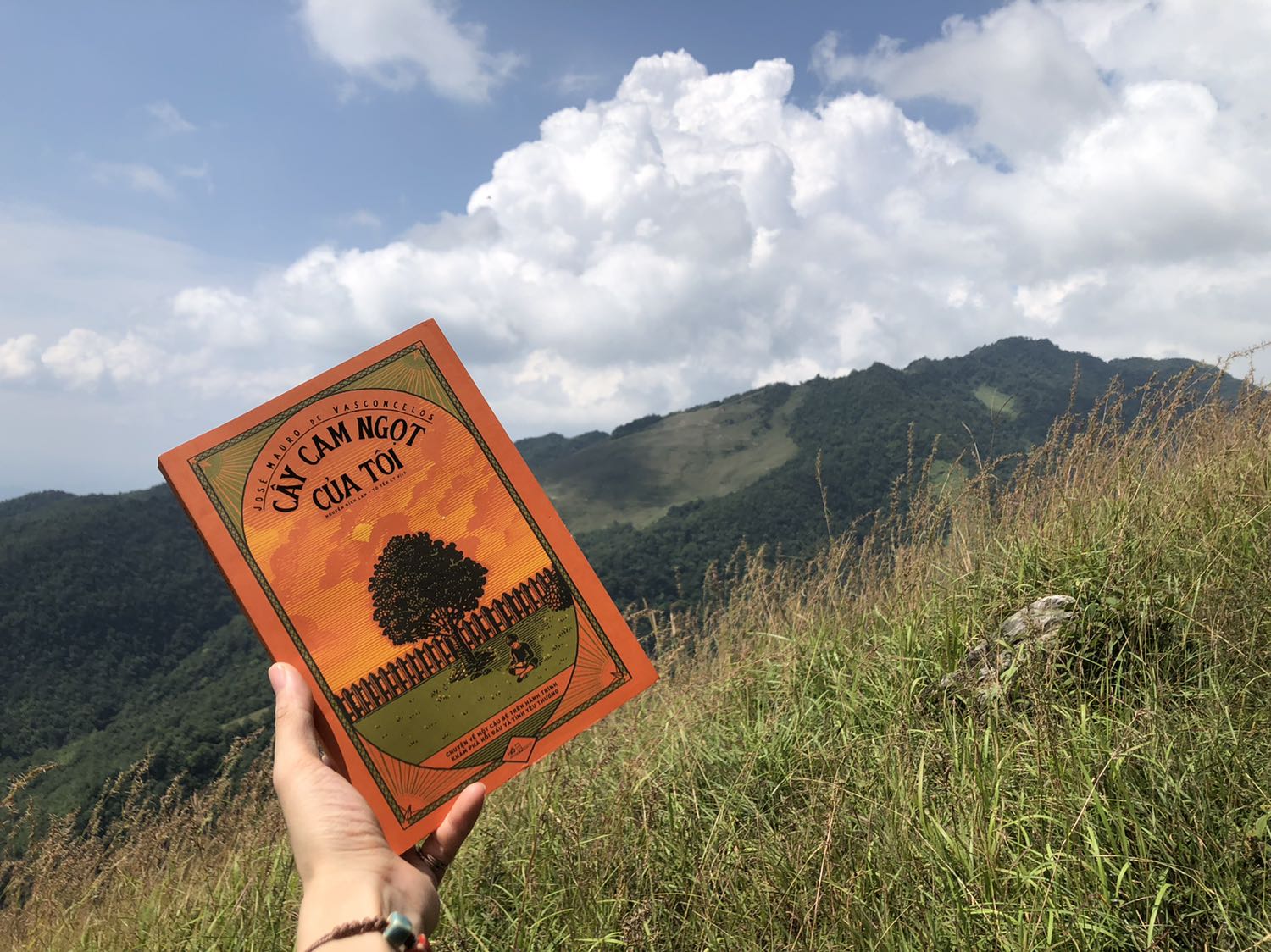 Có những người bước đến, họ lấp đầy hạnh phúc vào từng vết nứt trong tim, khiến chúng được an ủi và chữa lành. Nhưng rồi họ lại ra đi, làm tan vỡ trái tim người ở lại….
Câu chuyện bắt đầu bằng sự vui vẻ, nghịch ngợm của một cậu bé mang tên Zezé và kết thúc là một nỗi đau tột cùng khi mất đi hai người bạn quý giá nhất đời mình.
Khi đọc cuốn tiểu thuyết này, các bạn hẳn sẽ nhiều lần đau xót vì thương cảm cho cậu bé chỉ mới 5 tuổi với một tuổi thơ nhiều rạn vỡ. Nhưng các bạn cũng sẽ mỉm cười và cảm thấy yêu thương sự sống từ trong sâu thẳm tim mình. Bởi trong suốt cuốn tiểu thuyết, người với người đối xử với nhau vẫn rất đỗi dịu dàng, yêu thương và trìu mến. Cho đến khi khép lại cuốn sách, thì trái tim chúng ta lại thổn thức với một nỗi buồn vương vấn, buồn cho sự mất mát từ những yêu thương và buồn cho sự trưởng thành từ những nỗi đau, sự trưởng thành quá sớm mà không ai mong muốn…
Một cuốn tự truyện đầy cảm động, tuy đau đớn nhưng vẫn ngập tràn tình yêu thương!!!
Cảm ơn Tiki 🧡