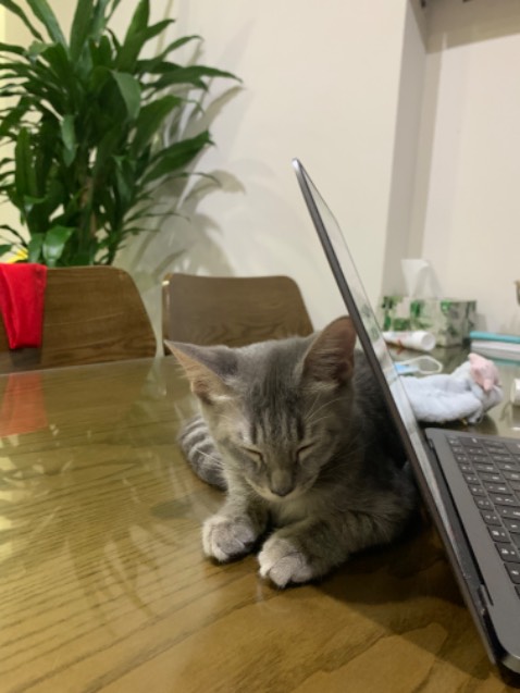 Chất liệu chắc chắn kiểu dáng bền đẹp dùng ổn giao nhanh Chất liệu chắc chắn kiểu dáng bền đẹp dùng ổn giao nhanh