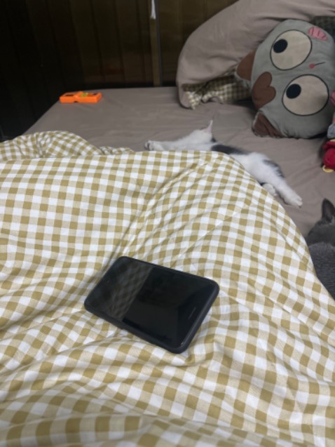 Ngon lắm đợi thời gian xem sao