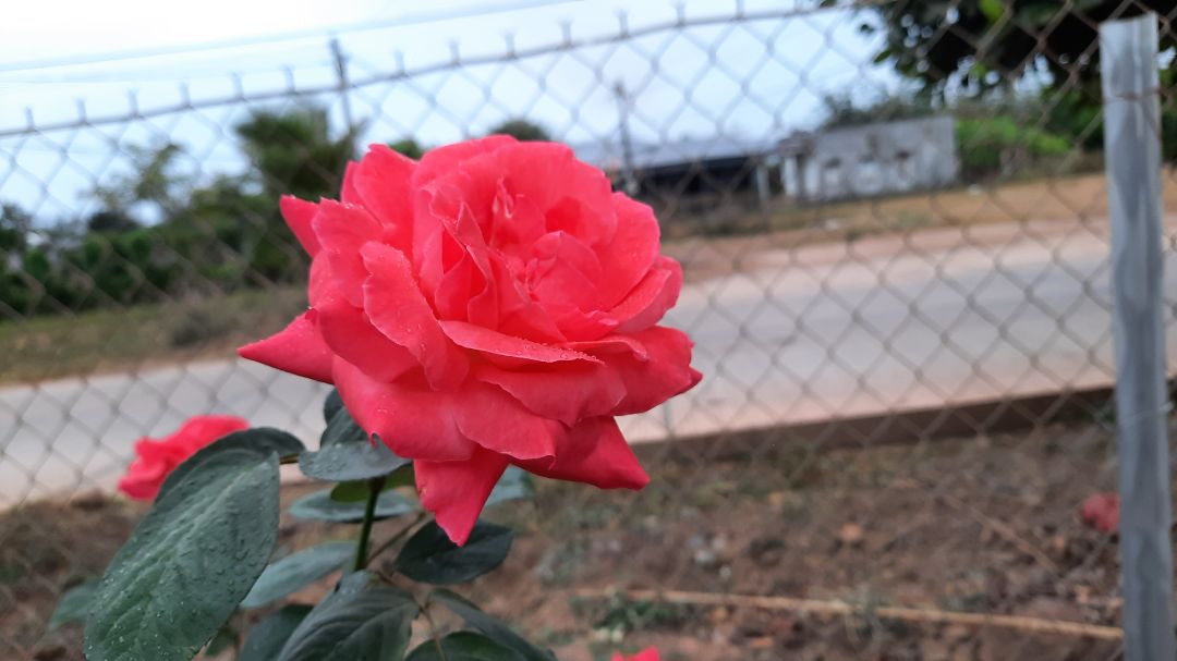 Vỏ hộp cứng cáp, chắc chắn