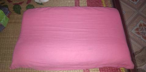 Gối êm, đàn hồi khá tốt, không được mịn. Gối khá thấp. Mức giá phù hợp. 
Mới sử dụng được gần 2 tháng, chưa thể đánh giá chính xác đầy đủ
Nói chung khá hài lòng với chất lượng của gối ở thời điểm hiện tại.