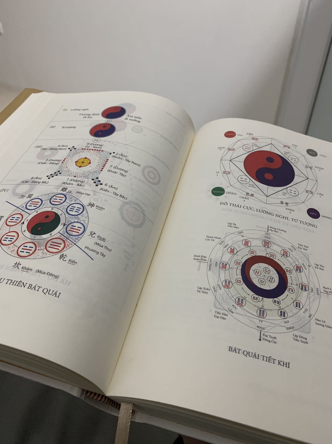 Cuốn sách mà mình đã chờ đợi từ lâu, di cảo tiếp theo sau Dịch Kinh Tường Giải của cụ Thu Giang. Muốn hiểu sâu thì phải nắm vững cơ bản, qua các cuốn xuất bản trước  đó là Dịch học Tinh hoa, Chu dịch Huyền giải, Dịch kinh Tường giải và có kiến thức căn bản về tử vi.
