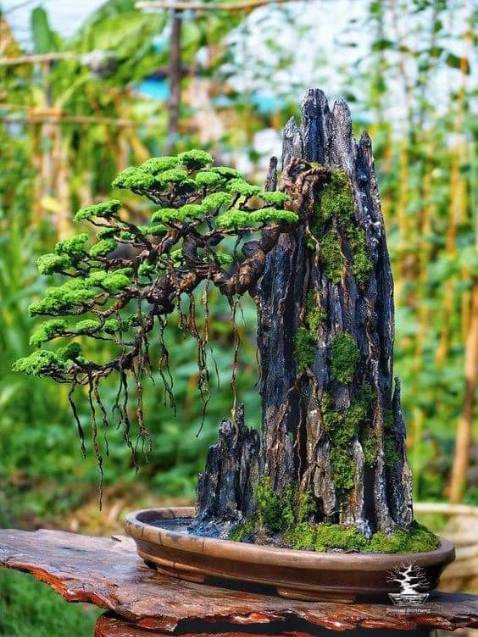 Sách mới, bọc tốt!