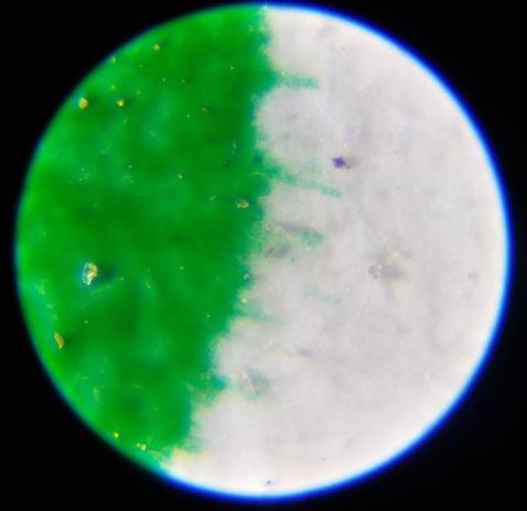 Kính hiển vi đẹp, chắc chắn, độ phóng đại khá ấn tượng, có đèn chiếu sáng rất hữu dụng. Độ sắc nét hình ảnh chấp nhận được, dùng cho mục đích nghiệp dư, giáo dục ok.