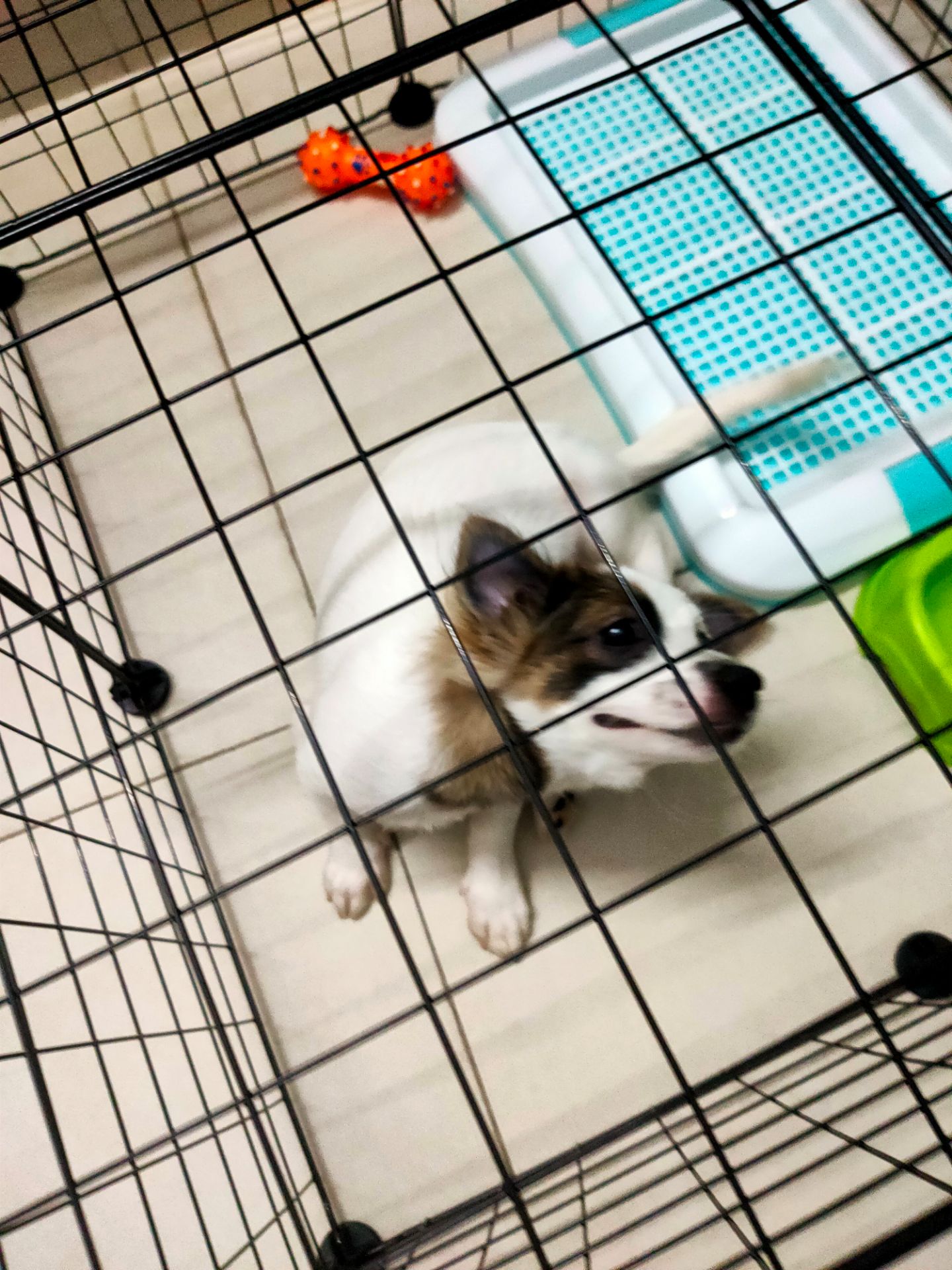 sp ok đúng chuan hịhf chỉ co điều em nhà mình k chịu di vs ma dùng để ngủ j ak