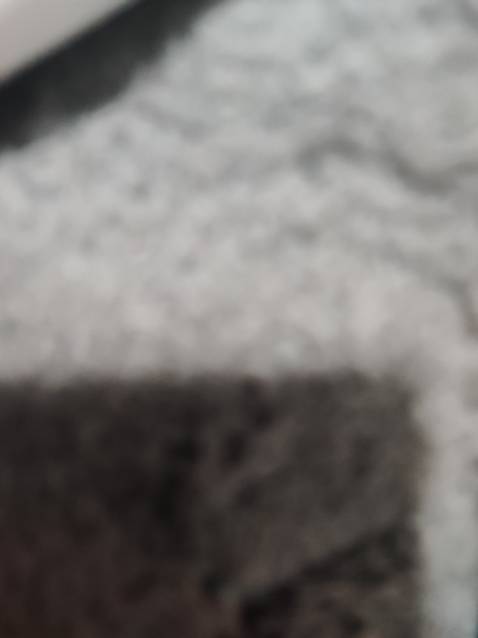 Sữa sịn, date xa, giá ưu đãi