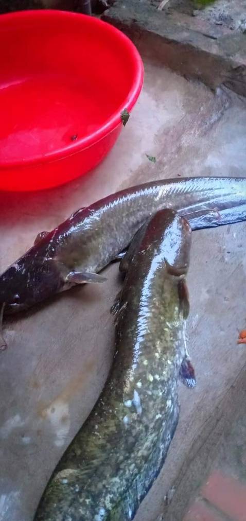 Sản  phẩm đúng mô tả, giao hàng nhanh, sẽ ủng hộ tiếp