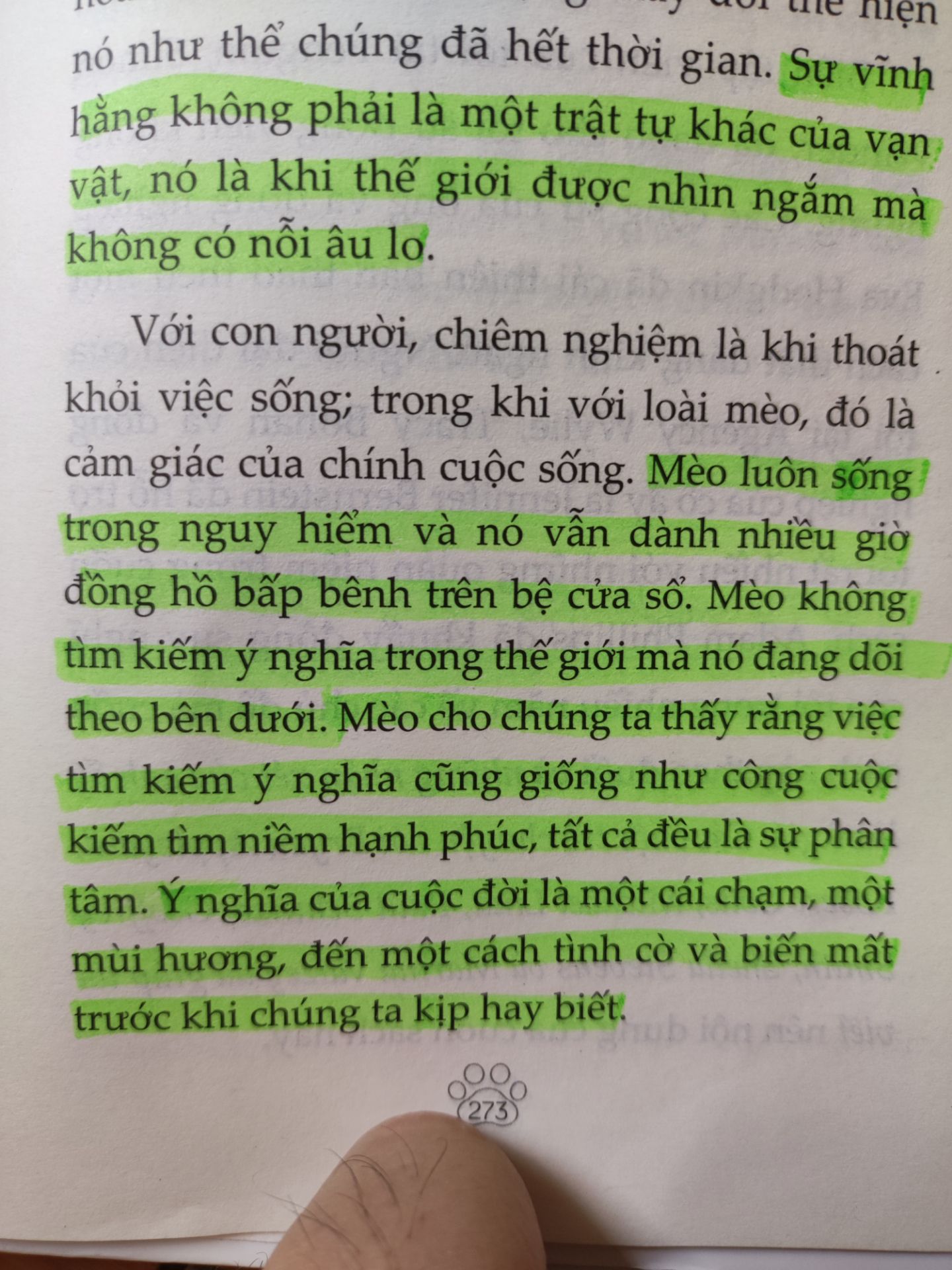 Sách chủ đề triết học nên nhiều trường đoạn bình luận về các tiết gia cùng quan điểm của họ khá khó hiểu và mơ hồ. Tuy nhiên bài học cuộc sống rút ra từ loài mèo thì lại rất thấm và dễ hiểu. 
Suy cho cùng thay vì cứ luôn đi tìm định nghĩa cuộc sống và khao khát có được hạnh phúc, hãy đón nhận mọi thứ đến với mình một cách tự nhiên và bình thản nhất. Bởi "Ý nghĩa của cuộc đời là một cái chạm, một mùi hương, đến một cách tình cờ và biến mất trước khi chúng ta kịp hay biết".