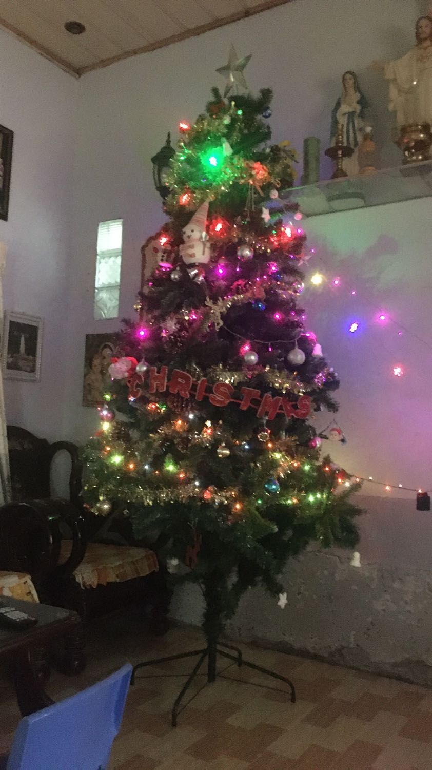 Cây thông rất đẹp, giá cả hợp lý. Xịn lắm cho 5 sao!!!